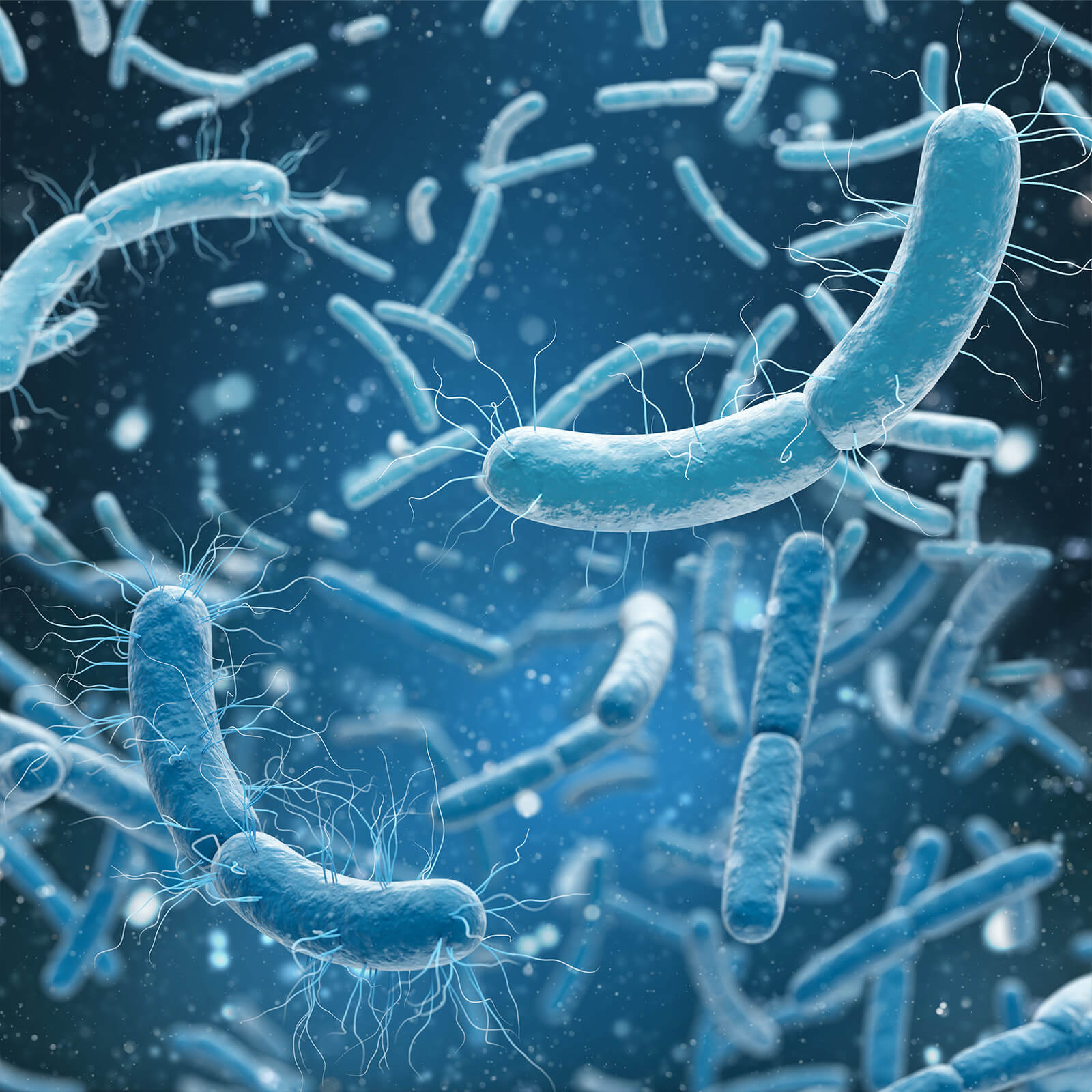 Wissenschaftler:innen fordern Investitionen in Forschung, Entwicklung und einen verantwortungsvollen Einsatz von Antibiotika